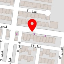 برق خودرو موسی الرضا