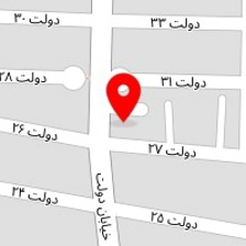 اتو سرویس امیر