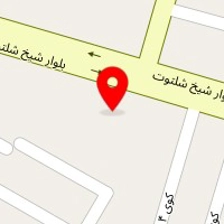 باطریسازی امیر