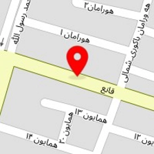 تشخیص رنگ و کارشناسی خودرو نوین