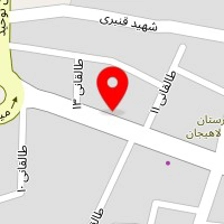 تک اسپرت دوقلوها