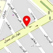 سایپا یدک گودرزی