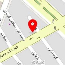 اگزوزسازی آسا