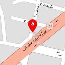 خدمات برق،دیاگ،تنظیم موتور