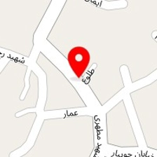 تزیینات اتومبیل نوین اسپرت