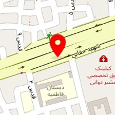 لنت امینی