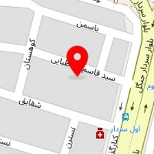 کارشناسی اتومبیل (در محل) حسام