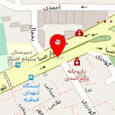 اگزوز سازی سید 110