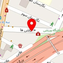تعمیر کلیه ماشین دیاگ