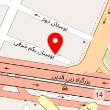 دکتر لنت (کلینیک تخصصی ترمز)