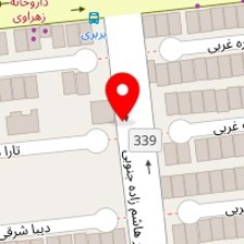 اگزوز سازی علی رالی