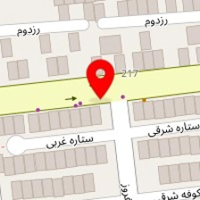 جنرال سرویس دقت