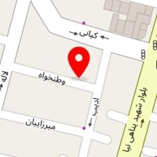 اگزوز سازی مدرن