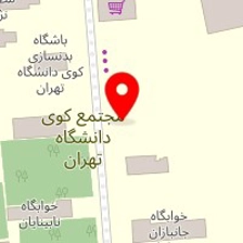 اتکس - کارشناسی خودرو در محل