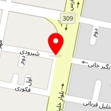 دوزندگی اتومبیل چلسی