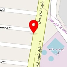 رنگ اتومبیل سعید