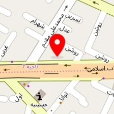 نمایندگی سایپا، پور حسنی