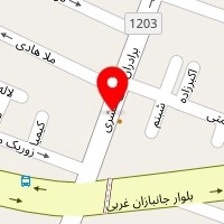 تاپ سرویس 2000