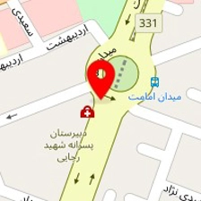 کارشناسی رنگ خودرو بنویدی