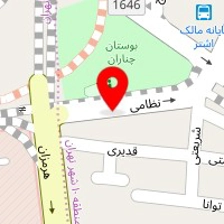 خدمات اتومبیل دوستان