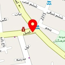 خدمات اتومبیل رایلی