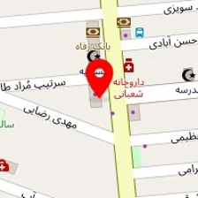 اتوسرویس دلفین