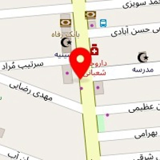 اتوسرویس دلفین