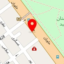 اتوسرویس پویا