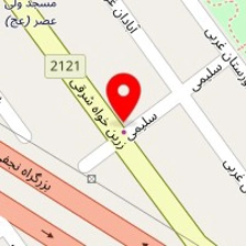 اتو سرویس امیر