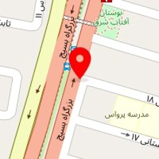 اتوسرویس امیر