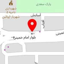 باتری سازی امیر