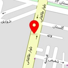 تعمیرگاه فرانس پژو نادر