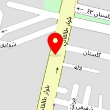 جلوبندی و کمک فنر رضا