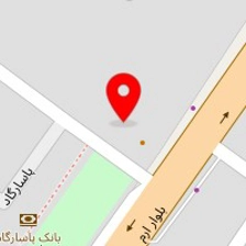 مرکز تشخیص رنگ خودرو پاسارگاد