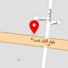 اتو سرویس برادران
