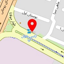 رنگ اتومبیل جاوید