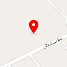 نمایندگی فروش و خدمات پس از فروش MAN170