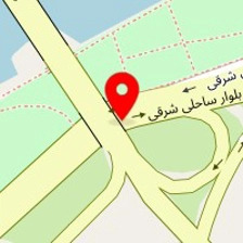 پیشگام مکانیک نظری