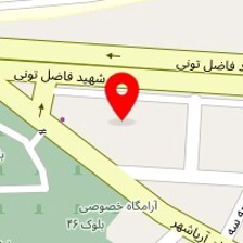 تنطیم موتور رایا