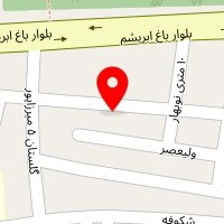 صافکاری همایون