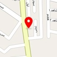 دزدگیر پارادایس