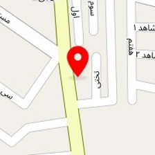 دزدگیر پارادایس
