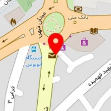 اسباب بازی نی نی گولو