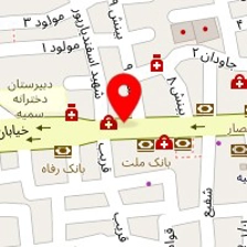 نی نی بندر