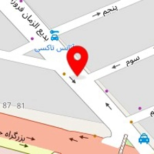 فروشگاه اسباب بازی دوقلوها