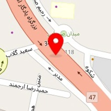 اسباب بازی و لوازم تولد السا
