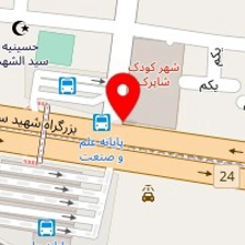 فروشگاه اسباب بازی ویانا