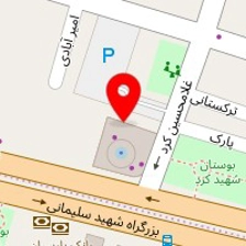 فروشگاه اسباب یازی دنیای پلنگ صورتی