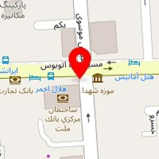 شرکت جزیره نقره ای
