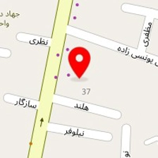 سی سی نی نی